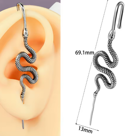 Single Silver earring