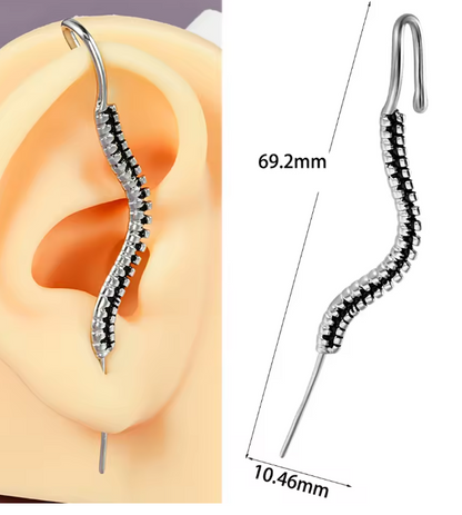 Single Silver earring