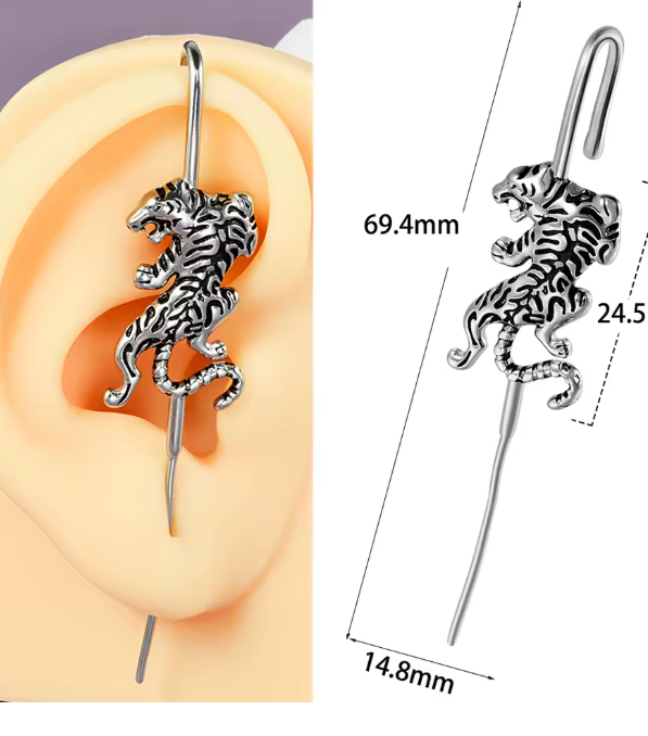 Single Silver earring